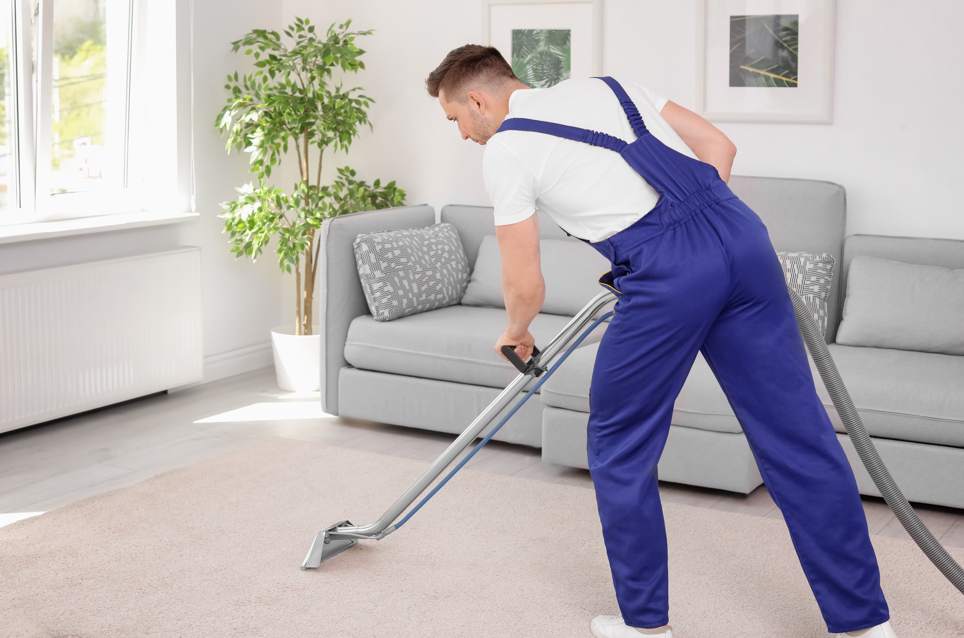 Carpet Cleaning in North Spokane, WA